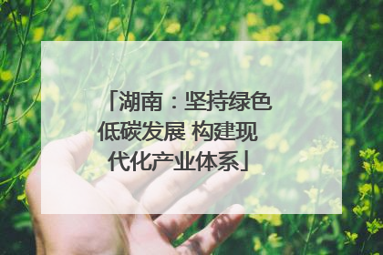 湖南：坚持绿色低碳发展 构建现代化产业体系