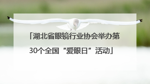 湖北省眼镜行业协会举办第30个全国“爱眼日”活动