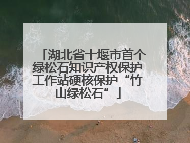 湖北省十堰市首个绿松石知识产权保护工作站硬核保护“竹山绿松石”