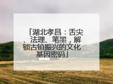 湖北孝昌：舌尖、法理、笔墨，解锁古镇振兴的文化基因密码