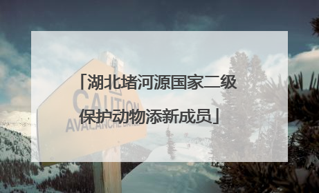 湖北堵河源国家二级保护动物添新成员