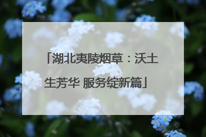 湖北夷陵烟草：沃土生芳华 服务绽新篇