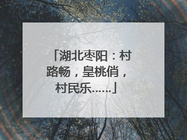 湖北枣阳：村路畅，皇桃俏，村民乐……
