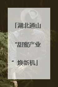 湖北通山“甜蜜产业”焕新机