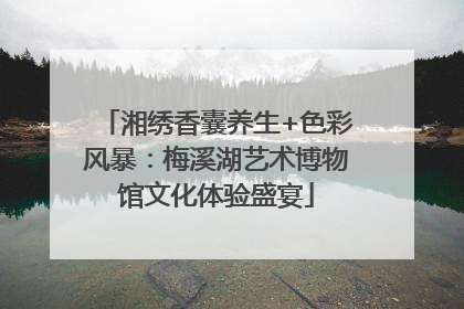 湘绣香囊养生+色彩风暴：梅溪湖艺术博物馆文化体验盛宴