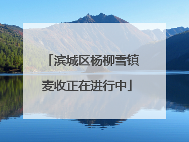 滨城区杨柳雪镇麦收正在进行中