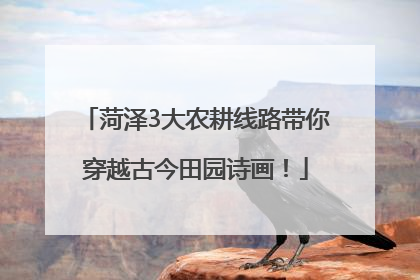 菏泽3大农耕线路带你穿越古今田园诗画！