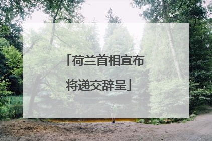 荷兰首相宣布将递交辞呈