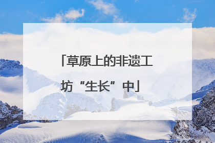 草原上的非遗工坊“生长”中
