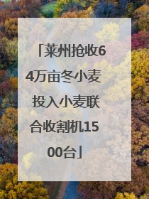 莱州抢收64万亩冬小麦 投入小麦联合收割机1500台