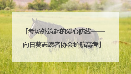 考场外筑起的爱心防线——向日葵志愿者协会护航高考