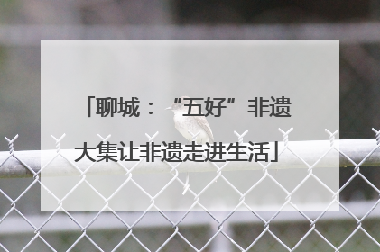 聊城：“五好”非遗大集让非遗走进生活