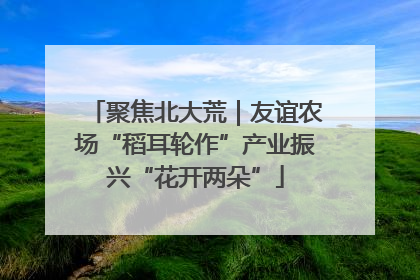 聚焦北大荒｜友谊农场“稻耳轮作”产业振兴“花开两朵”