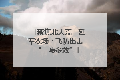 聚焦北大荒｜延军农场：飞防出击 “一喷多效”