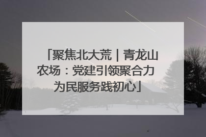 聚焦北大荒｜青龙山农场：党建引领聚合力 为民服务践初心