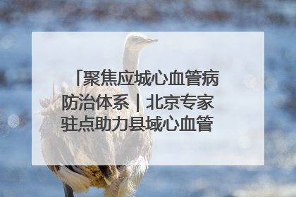 聚焦应城心血管病防治体系｜北京专家驻点助力县域心血管诊疗技术突破