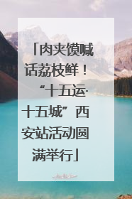 肉夹馍喊话荔枝鲜！“十五运·十五城”西安站活动圆满举行