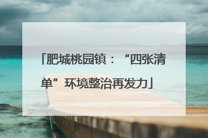 肥城桃园镇：“四张清单”环境整治再发力