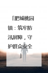 肥城桃园镇：筑牢防汛屏障，守护群众安全