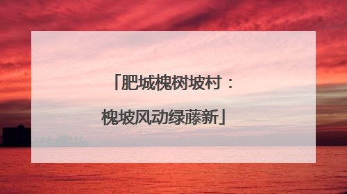 肥城槐树坡村：槐坡风动绿藤新