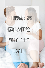 肥城：高标准农田绘就好“丰”光