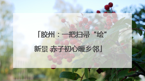 胶州：一把扫帚“绘”新景 赤子初心暖乡邻