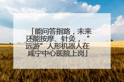 能问答指路，未来还能按摩、针灸，“远游”人形机器人在咸宁中心医院上岗