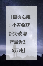 自贡沿滩：小春收获新突破 总产量近3.5万吨