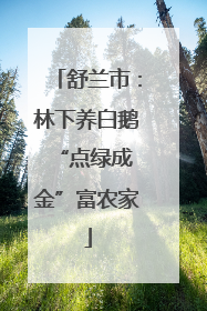 舒兰市：林下养白鹅 “点绿成金”富农家