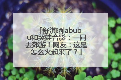 舒淇晒labubu和哭娃合影：一同去郊游！网友：这是怎么火起来了？