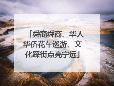 舜裔舜商、华人华侨花车巡游、文化踩街点亮宁远