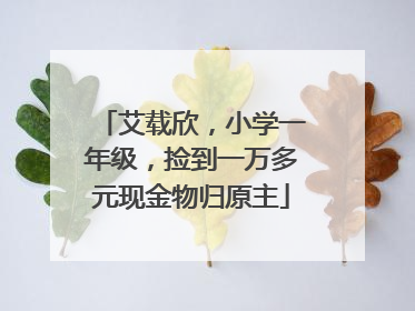艾载欣，小学一年级，捡到一万多元现金物归原主
