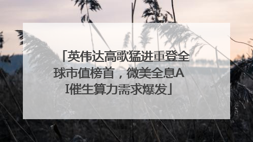 英伟达高歌猛进重登全球市值榜首，微美全息AI催生算力需求爆发