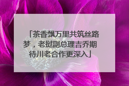 茶香飘万里共筑丝路梦，老挝副总理吉乔期待川老合作更深入