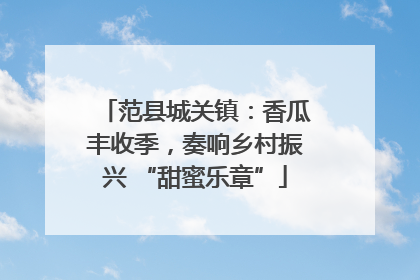 范县城关镇：香瓜丰收季，奏响乡村振兴 “甜蜜乐章”