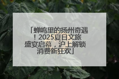 蝉鸣里的扬州奇遇！2025夏日文旅盛宴启幕，沪上解锁消费新狂欢
