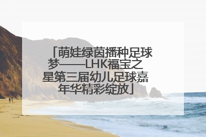 萌娃绿茵播种足球梦——LHK福宝之星第三届幼儿足球嘉年华精彩绽放