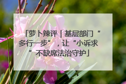 萝卜辣评｜基层部门“多行一步”，让“小诉求”不缺席法治守护