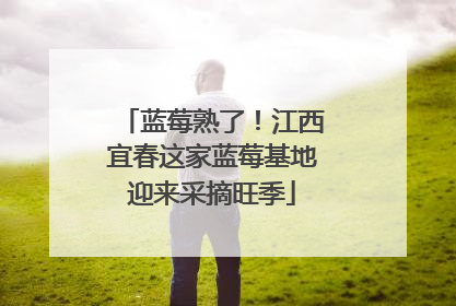 蓝莓熟了！江西宜春这家蓝莓基地迎来采摘旺季