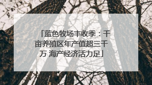 蓝色牧场丰收季：千亩养殖区年产值超三千万 海产经济活力足