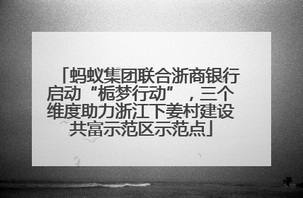蚂蚁集团联合浙商银行启动“栀梦行动”，三个维度助力浙江下姜村建设共富示范区示范点