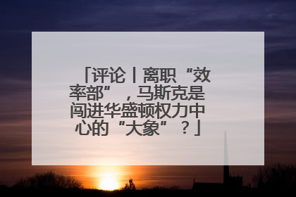 评论丨离职“效率部”，马斯克是闯进华盛顿权力中心的“大象”？