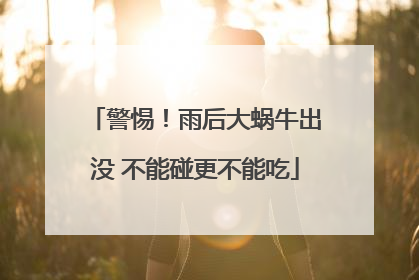 警惕！雨后大蜗牛出没 不能碰更不能吃
