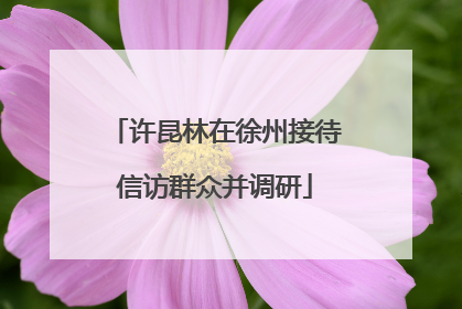 许昆林在徐州接待信访群众并调研