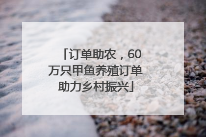 订单助农，60万只甲鱼养殖订单助力乡村振兴