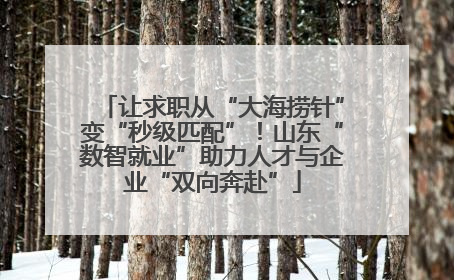 让求职从“大海捞针”变“秒级匹配”！山东“数智就业”助力人才与企业“双向奔赴”
