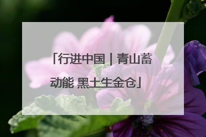 行进中国｜青山蓄动能 黑土生金仓