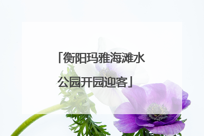 衡阳玛雅海滩水公园开园迎客