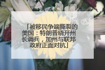 被移民争端撕裂的美国：特朗普绕开州长调兵，加州与联邦政府正面对抗