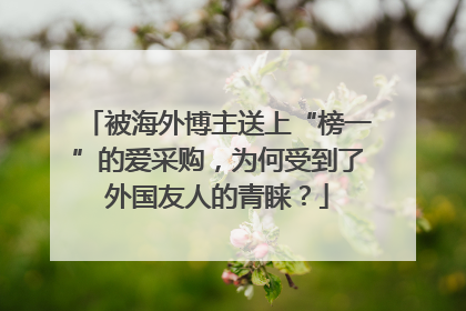 被海外博主送上“榜一”的爱采购，为何受到了外国友人的青睐？